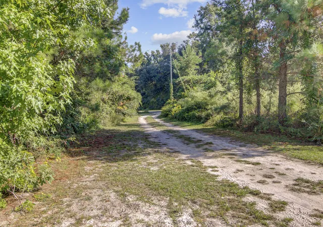 Homes for sale in Cottageville, SC | 442 Rhode Dr, Cottageville, SC 29435 | MLS# 25027544