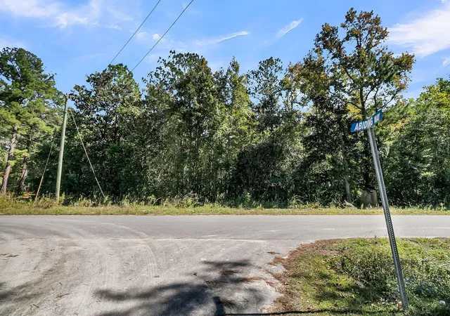 1st image of 135 Jacob Piland Rd, Moncks Corner, SC 29461 | MLS# 26012507
