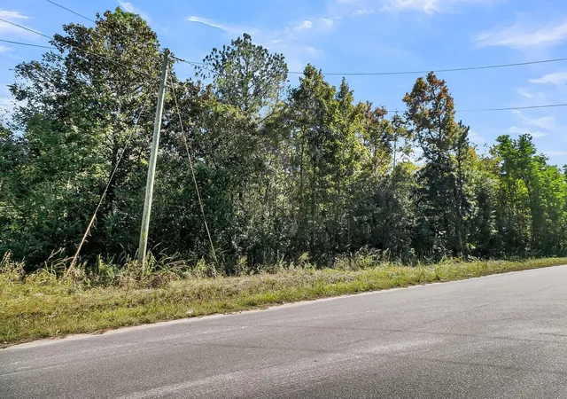 2nd image of 135 Jacob Piland Rd, Moncks Corner, SC 29461 | MLS# 26012507