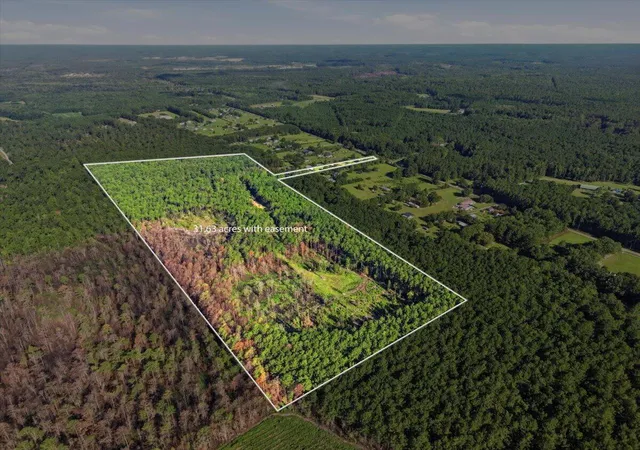 Land for sale at 00 Campbell Rd, Ridgeville, SC 29472 | MLS# 26021241