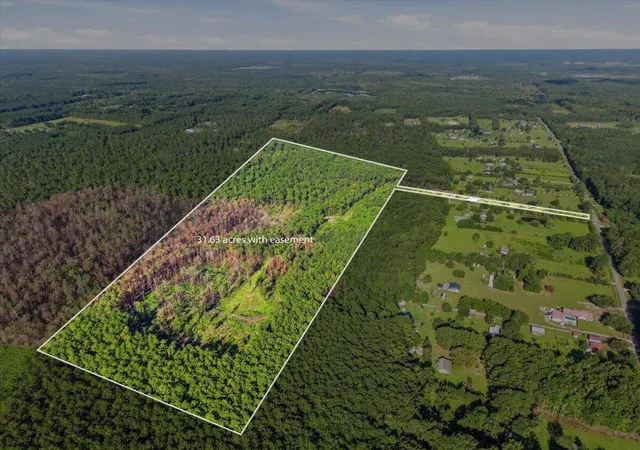 Photo 3 of Land for sale at 00 Campbell Rd, Ridgeville, SC 29472 | MLS# 26021241 | Listing updated on 2026-09-30