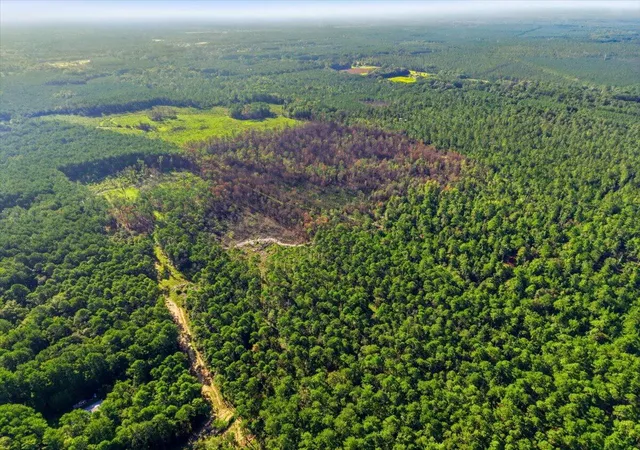 Photo 4 of Land for sale at 00 Campbell Rd, Ridgeville, SC 29472 | MLS# 26021241 | Listing updated on 2026-09-30