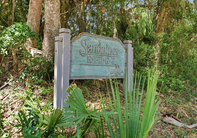 Photo 2 of Single family home for sale at 718 Sandpiper Ridge, Edisto Island, SC 29438 | MLS# 26019154 | Listing updated on 2026-08-04