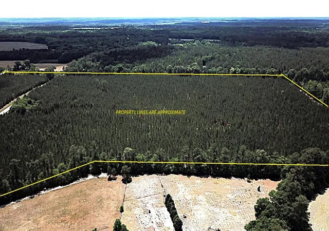 Homes for sale in Saint Matthews, SC | 00 New Hope Rd, Saint Matthews, SC 29135 | MLS# 26012775