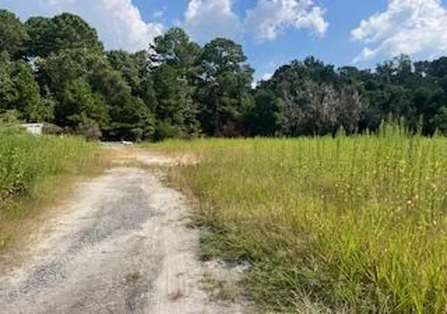 Photo 3 of Land for sale at 1 Wolffs Lair Rd, Charleston, SC 29414 | MLS# 25025891 | Listing updated on 2026-06-11