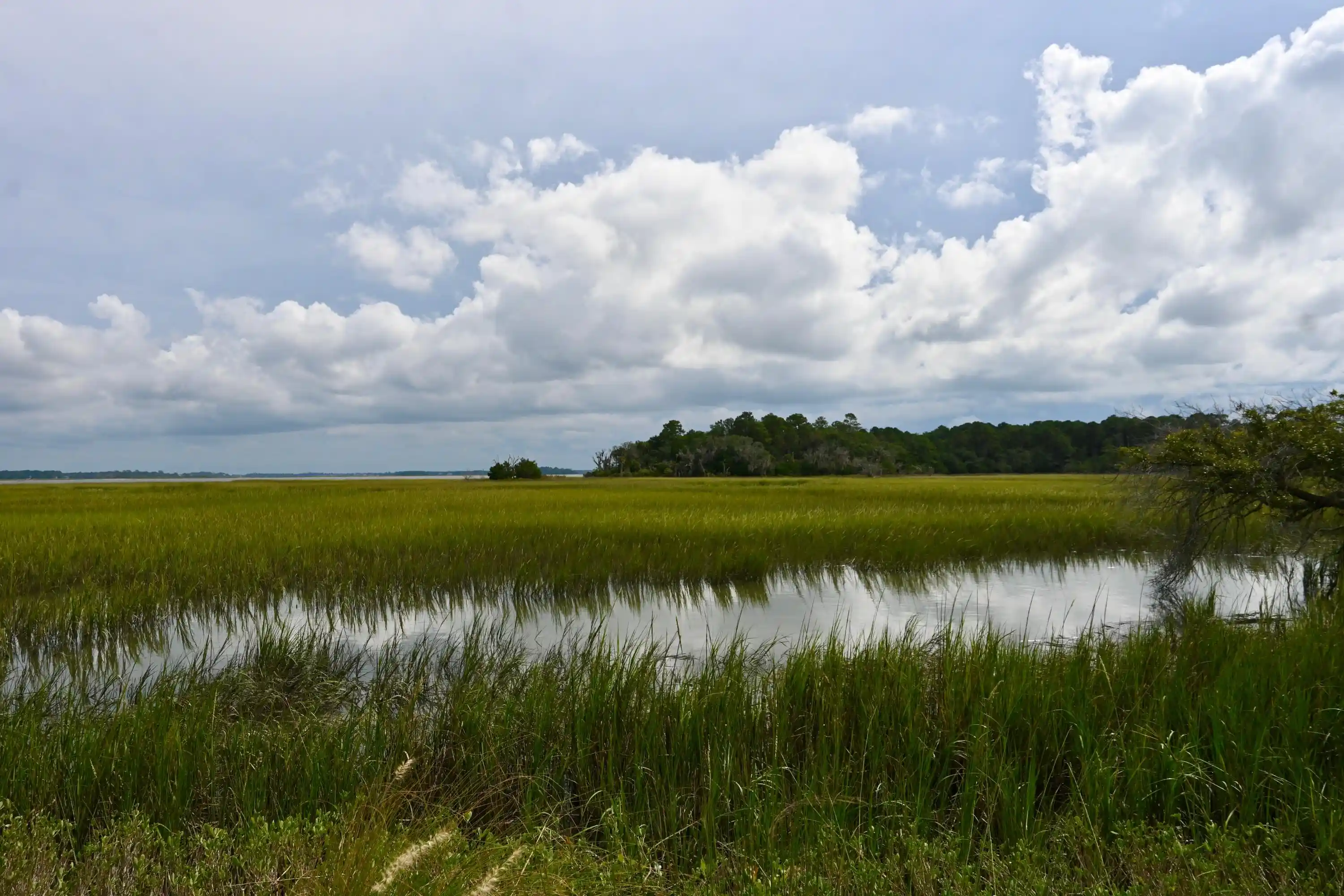 Land for sale at #18 Hopkins Pl Dr #18, Edisto Island, SC 29438 | MLS# 26028256