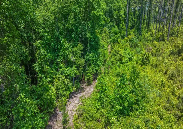 11th image of 0 Cannon Bridge Rd, Cordova, SC 29039 | MLS# 26015343