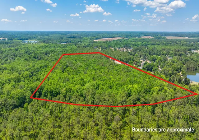 4th image of 0 Cannon Bridge Rd, Cordova, SC 29039 | MLS# 26015343