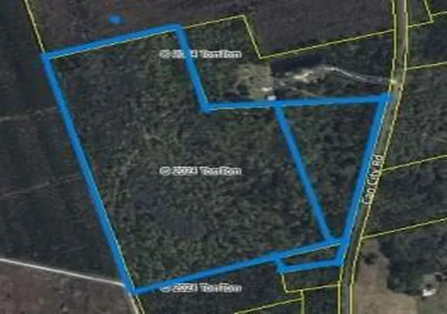 Photo 1 of Land for sale at 0 Can City, Walterboro, SC 29488 | MLS# 24018748 | Listing updated on 2025-04-17