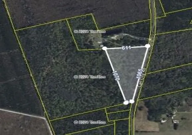 Photo 3 of Land for sale at 0 Can City, Walterboro, SC 29488 | MLS# 24018748 | Listing updated on 2025-04-17