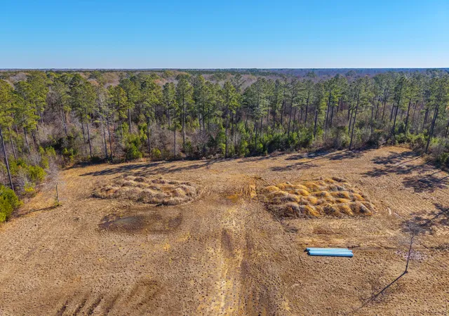 34th image of V/l Calamus Pond Rd, Summerville, SC 29486 | MLS# 26003742