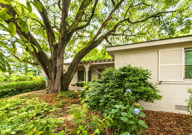 5th image of 971 Cliffwood Dr, Mount Pleasant, SC 29464 | MLS# 26015638