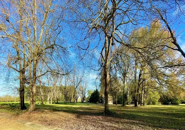 2nd image of 00 Brodie St, Springfield, SC 29146 | MLS# 26010695