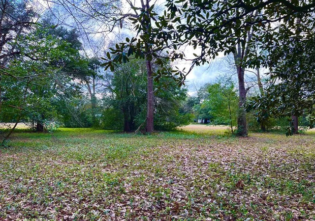 4th image of 00 Brodie St, Springfield, SC 29146 | MLS# 26010695