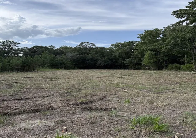 Photo 2 of Land for sale at 3820 Savannah Hwy, Johns Island, SC 29455 | MLS# 26018189 | Listing updated on 2026-09-09
