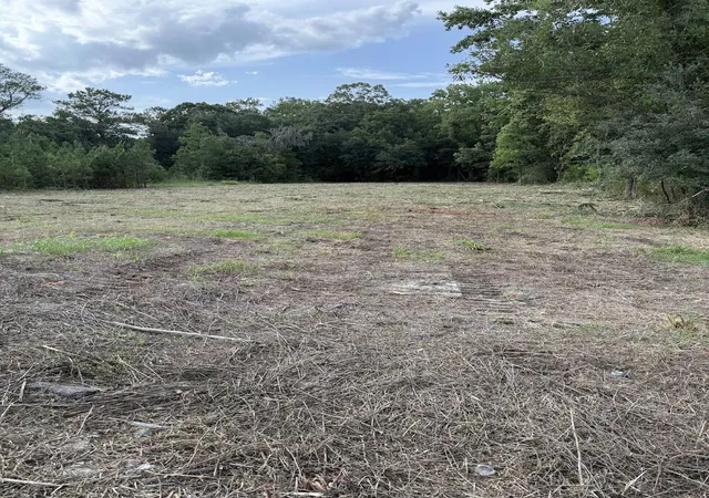 Photo 3 of Land for sale at 3820 Savannah Hwy, Johns Island, SC 29455 | MLS# 26018189 | Listing updated on 2026-09-09