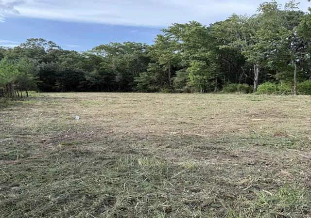 Photo 3 of Land for sale at 3820 Savannah Hwy, Johns Island, SC 29455 | MLS# 26018189 | Listing updated on 2026-09-09