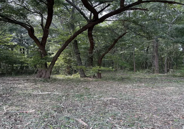 Photo 4 of Land for sale at 3820 Savannah Hwy, Johns Island, SC 29455 | MLS# 26018189 | Listing updated on 2026-09-09