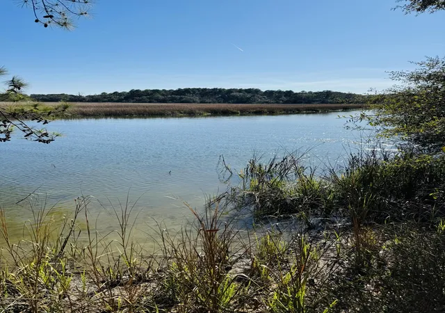 Photo 2 of Land for sale at 00 Rosa Scott Rd, Edisto Island, SC 29438 | MLS# 26005932 | Listing updated on 2026-08-04
