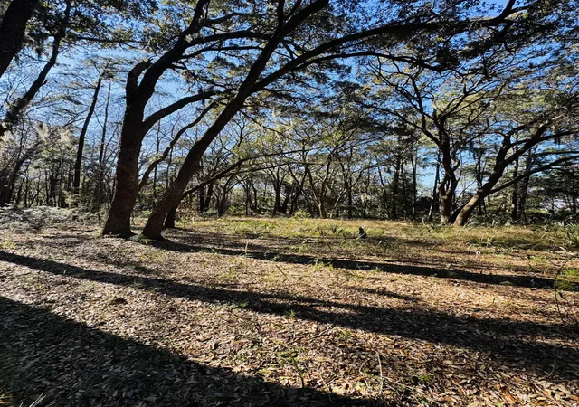 Photo 3 of Land for sale at 00 Rosa Scott Rd, Edisto Island, SC 29438 | MLS# 26005932 | Listing updated on 2026-08-04