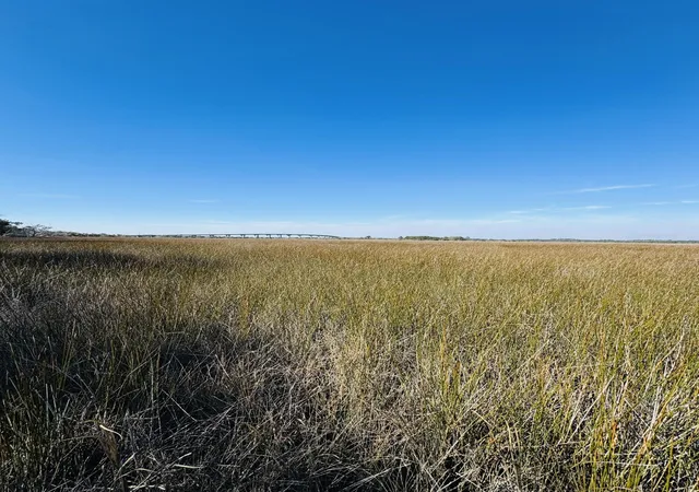 Photo 5 of Land for sale at 00 Rosa Scott Rd, Edisto Island, SC 29438 | MLS# 26005932 | Listing updated on 2026-08-04