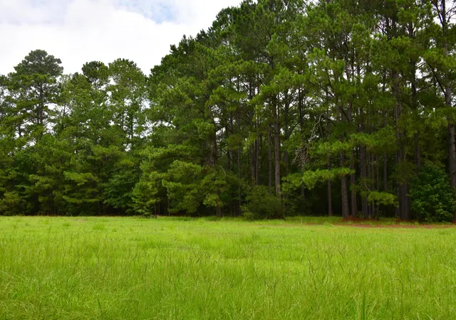 Photo 2 of Land for sale at 0 Palmetto Ave, Saint Stephen, SC 29479 | MLS# 26022209 | Listing updated on 2026-09-29