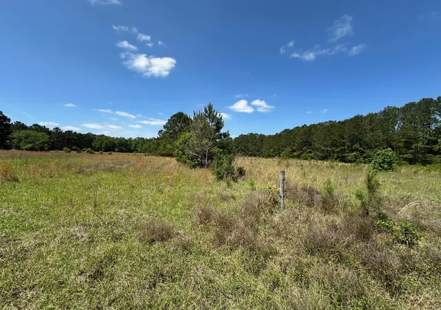 Photo 1 of Land for sale at 8441 Willtown Rd, Hollywood, SC 29449 | MLS# 25012047 | Listing updated on 2025-12-01