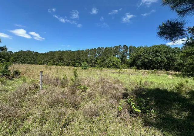 Photo 3 of Land for sale at 8441 Willtown Rd, Hollywood, SC 29449 | MLS# 25012047 | Listing updated on 2025-12-01