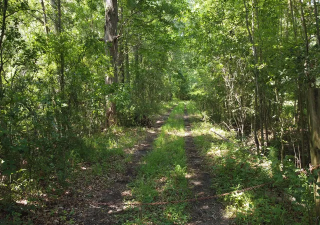 Photo 1 of Land for sale at 0 Rudd Rd, Ridgeville, SC 29472 | MLS# 25020061 | Listing updated on 2026-07-07