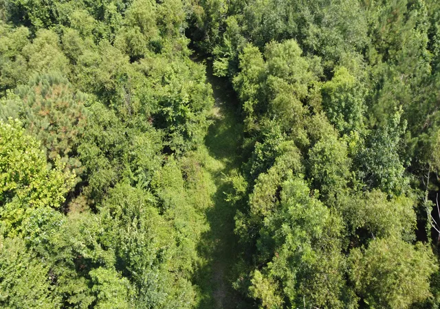Photo 2 of Land for sale at 0 Rudd Rd, Ridgeville, SC 29472 | MLS# 25020061 | Listing updated on 2026-07-07