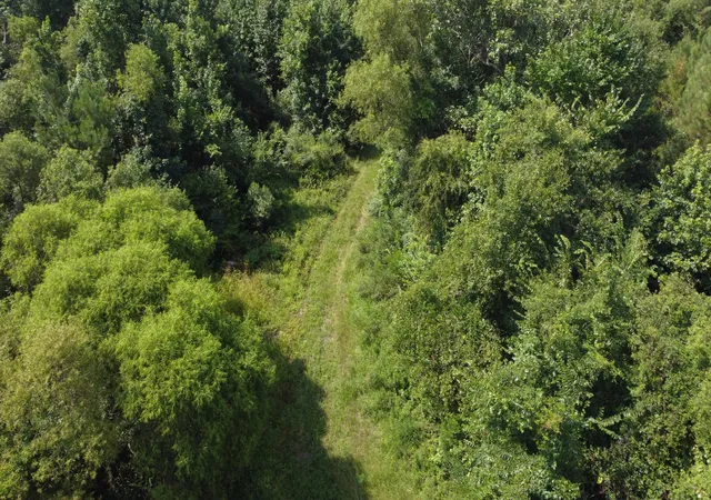 Photo 4 of Land for sale at 0 Rudd Rd, Ridgeville, SC 29472 | MLS# 25020061 | Listing updated on 2026-07-07