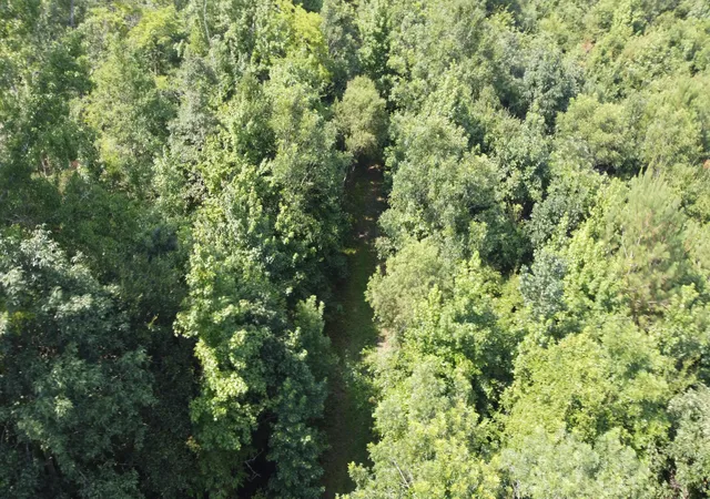 Photo 5 of Land for sale at 0 Rudd Rd, Ridgeville, SC 29472 | MLS# 25020061 | Listing updated on 2026-07-07