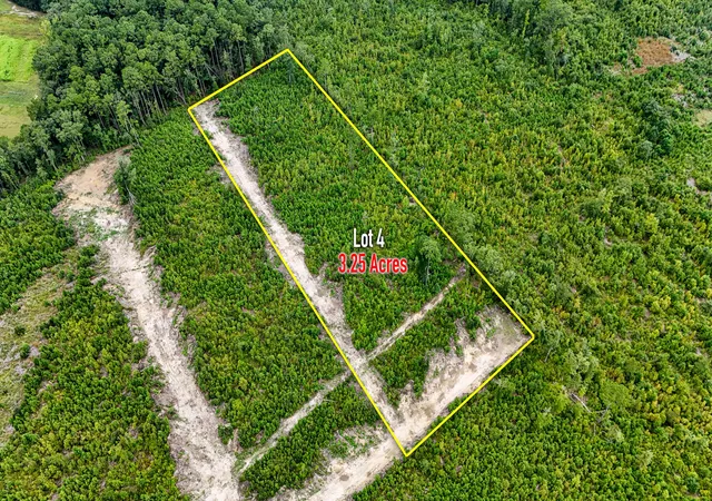 Photo 1 of Land for sale at 0 County Road S 18 57, Summerville, SC 29483 | MLS# 26024002 | Listing updated on 2026-08-25