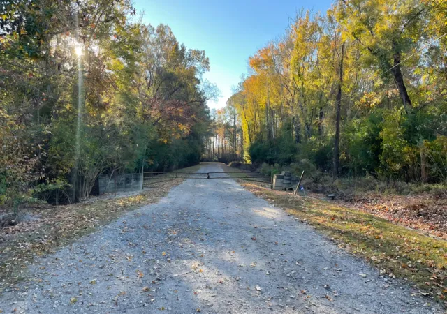 Photo 1 of Land for sale at 0 Dig It Rd, Summerville, SC 29483 | MLS# 25030748 | Listing updated on 2025-11-19
