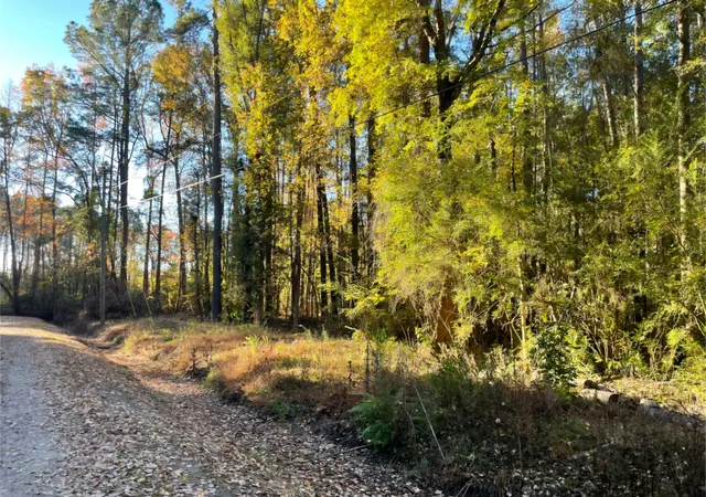 Photo 3 of Land for sale at 0 Dig It Rd, Summerville, SC 29483 | MLS# 25030748 | Listing updated on 2025-11-19