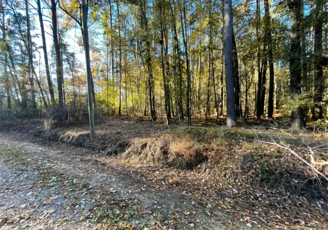 Photo 4 of Land for sale at 0 Dig It Rd, Summerville, SC 29483 | MLS# 25030748 | Listing updated on 2025-11-19