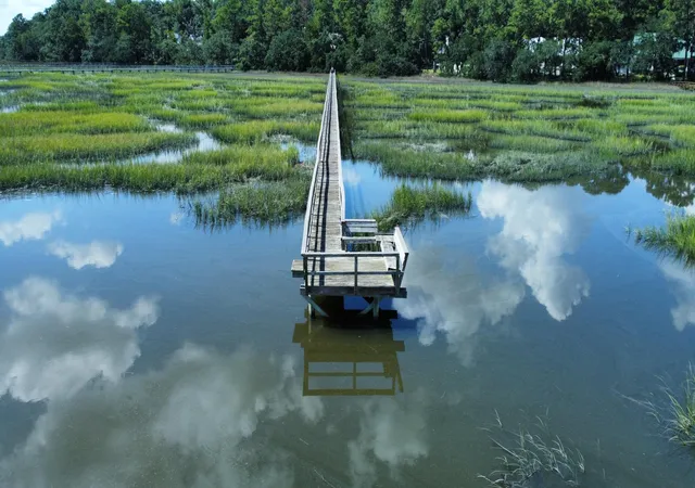 4th image of 212 Bull Point Dr, Seabrook, SC 29940 | MLS# 25033070