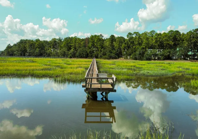 5th image of 212 Bull Point Dr, Seabrook, SC 29940 | MLS# 25033070