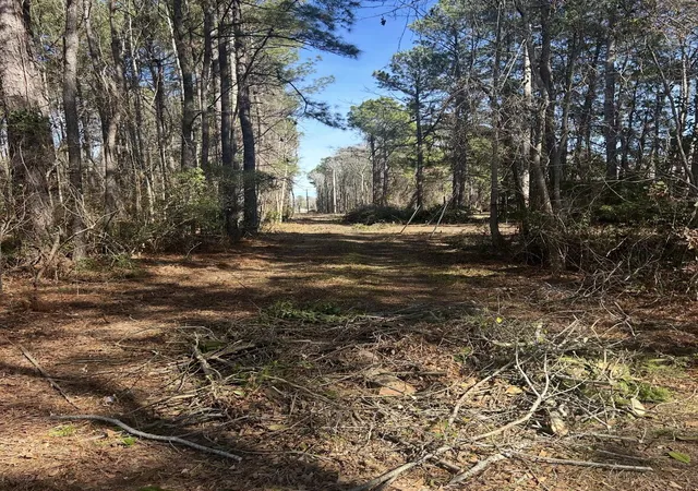3rd image of N/A Graham St, Saint Stephen, SC 29479 | MLS# 26020716