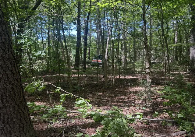 5th image of N/A Graham St, Saint Stephen, SC 29479 | MLS# 26020716