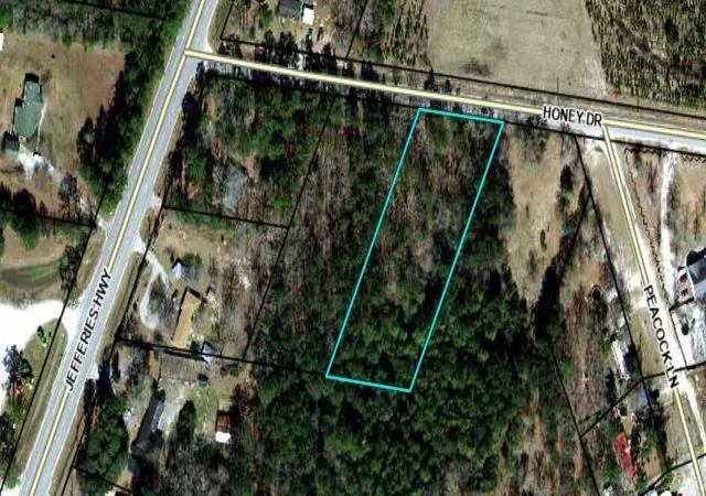 image of 90 Honey Dr, Walterboro, SC 29488 | MLS# 26022664
