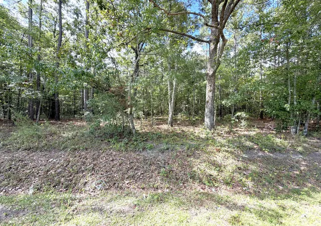 image of 90 Honey Dr, Walterboro, SC 29488 | MLS# 26022664