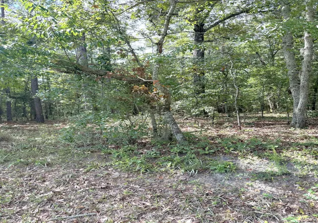 image of 90 Honey Dr, Walterboro, SC 29488 | MLS# 26022664