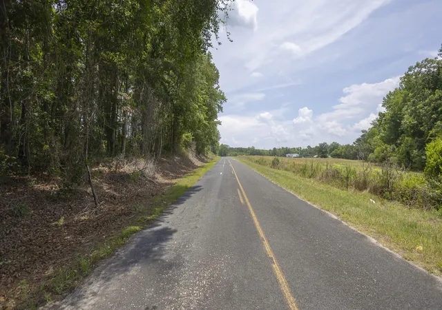 Homes for sale in Manning, SC | 6 Joseph Lemon And Dingle Rd, Manning, SC 29102 | MLS# 26017589