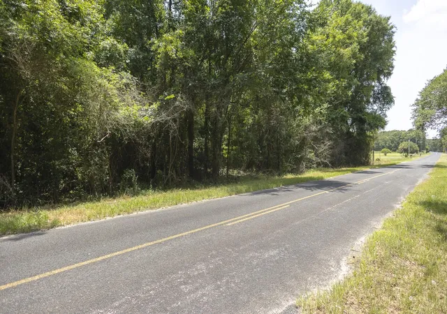 Homes for sale in Manning, SC | 6 Joseph Lemon And Dingle Rd, Manning, SC 29102 | MLS# 26017589