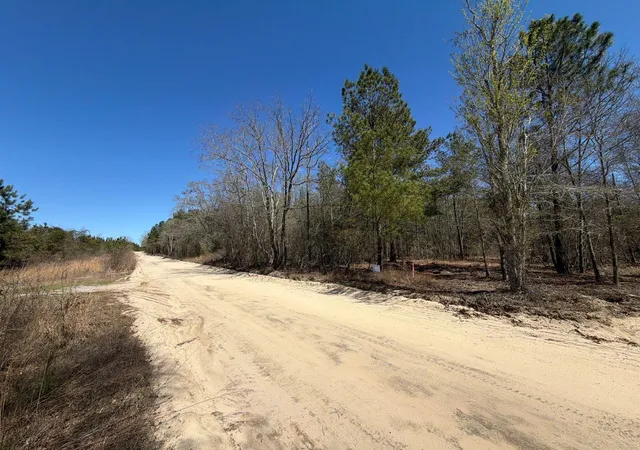 Photo 1 of Land for sale at Bhl 11 Boise Cascade #BHL11, Bethune, SC 29009 | MLS# 26008177 | Listing updated on 2026-03-24
