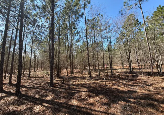 Photo 24 of Land for sale at Bhl 11 Boise Cascade #BHL11, Bethune, SC 29009 | MLS# 26008177 | Listing updated on 2026-03-24