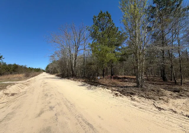 Photo 2 of Land for sale at Bhl 11 Boise Cascade #BHL11, Bethune, SC 29009 | MLS# 26008177 | Listing updated on 2026-03-24