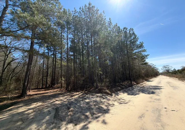 Photo 3 of Land for sale at Bhl 11 Boise Cascade #BHL11, Bethune, SC 29009 | MLS# 26008177 | Listing updated on 2026-03-24