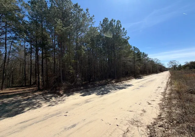 Photo 4 of Land for sale at Bhl 11 Boise Cascade #BHL11, Bethune, SC 29009 | MLS# 26008177 | Listing updated on 2026-03-24